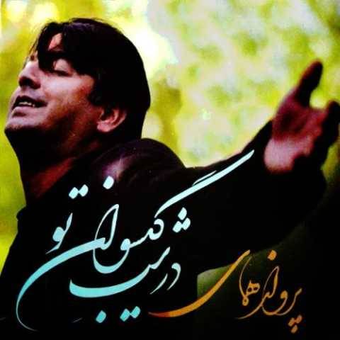 پرواز همای بی کس