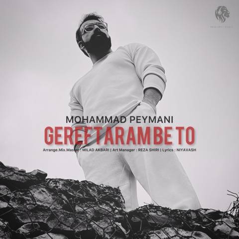 محمد پیمانی گرفتارم به تو