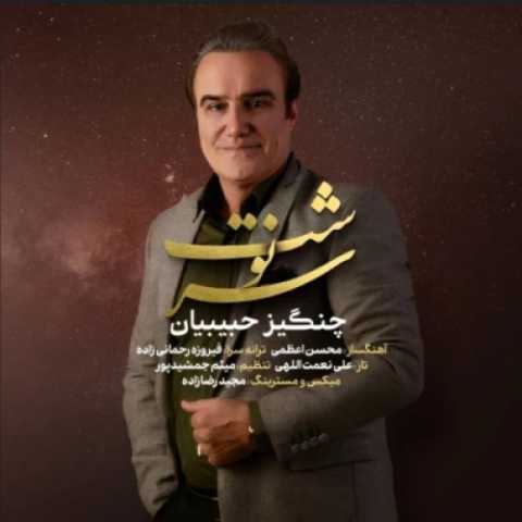 چنگیز حبیبیان سرنوشت